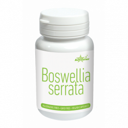 Activ Star BOSWELLIA SERRATA 60 VEGANE KAPSEL - wirkt entzündungshemmend, antibakteriell, antiallergisch und regenerierend.