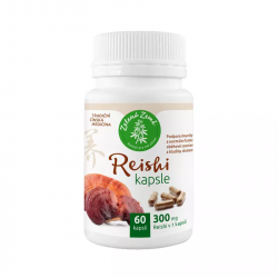 Reishi – der bekannteste Pilz der traditionellen chinesischen Medizin. Nahrungsergänzungsmittel. Die Packung enthält 60 Kapseln.